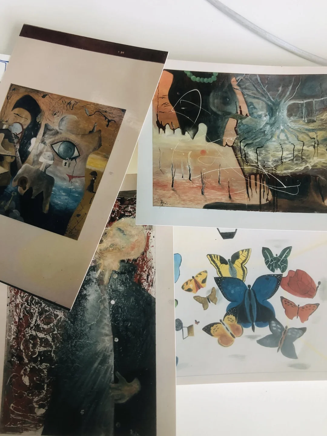 Imagens e registos de vinte anos de percurso